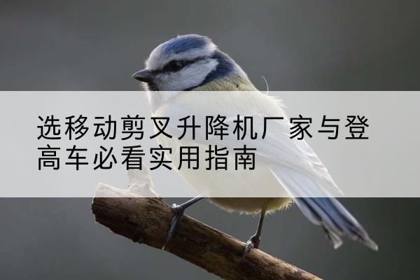 泸州电动升降机厂家-选移动剪叉升降机厂家与登高车必看实用指南
