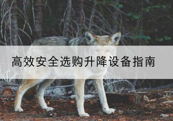 泸州升降货梯厂家推荐-*安全选购升降设备指南